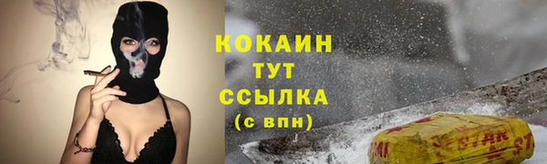 стаф Абаза