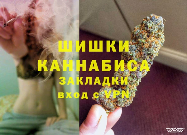 стаф Абаза
