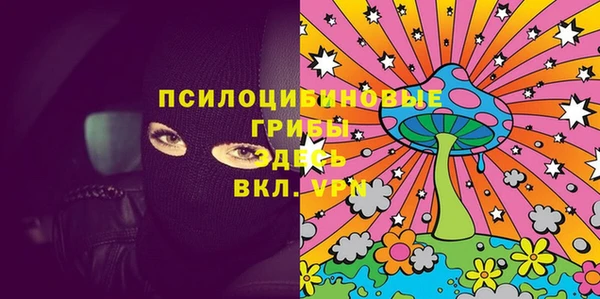 стаф Абаза